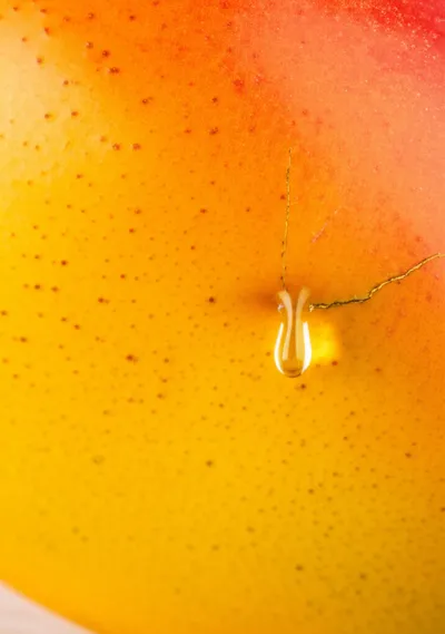 Illustration maturated - Image 1