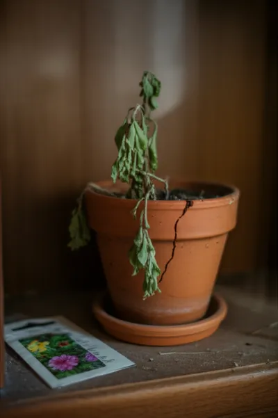 Illustration unappreciated - Image 1