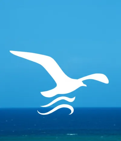 Illustration seagull - Image 1