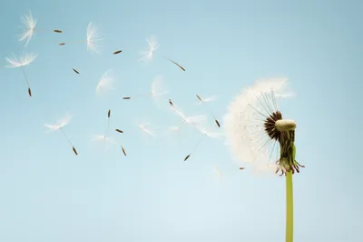 Illustration light - Image 1