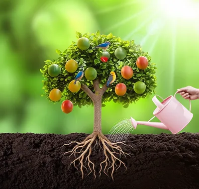 Illustration sustains - Image 1