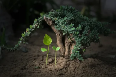 Illustration nurse - Image 1