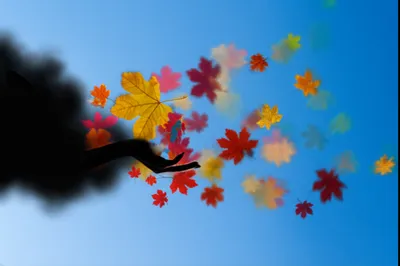 Illustration dispel - Image 1