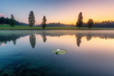 Illustration undisturbed - Image 1