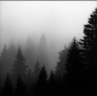 Illustration fog - Image 1