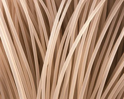 Illustration keratin