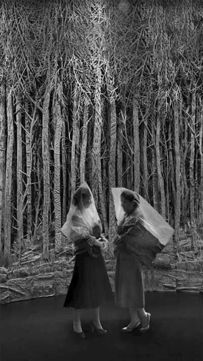 Illustration veils - Image 2