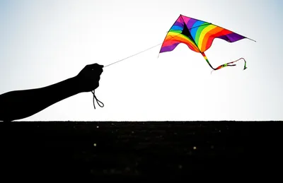 Illustration lowered - Image 1