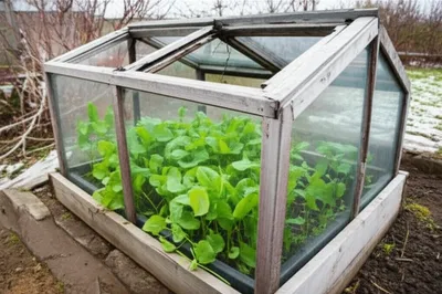 Illustration forcing - Image 1