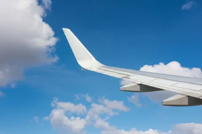 Illustration tail - Image 1