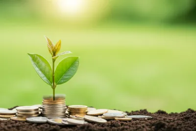 Illustration nut - Image 1