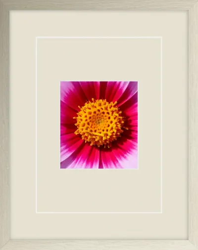 Illustration mats - Image 1