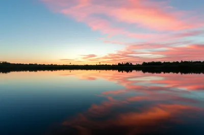 Illustration reflecting - Image 1