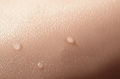 Illustration perspires - Image 1