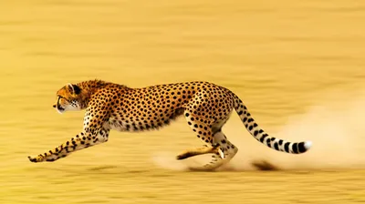 Illustration made - Image 1