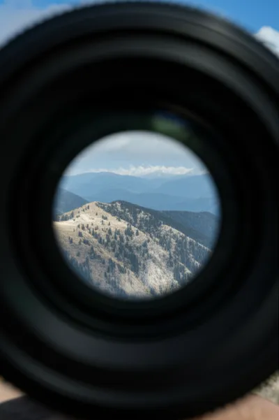 Illustration zoomed - Image 1