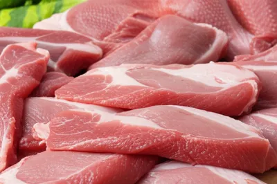 Illustration poultry - Image 1