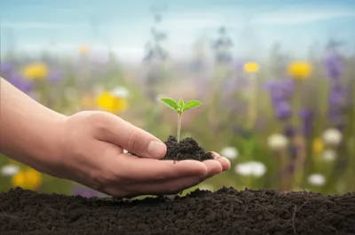 Illustration earthier - Image 1