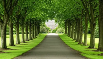 Illustration av - Image 1