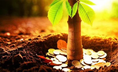 Illustration accrue - Image 1