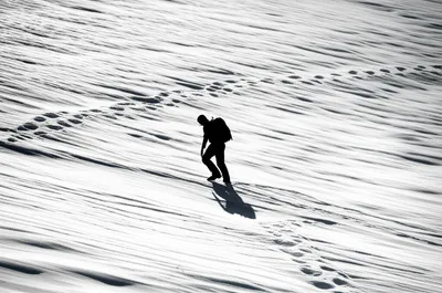 Illustration trounce - Image 1