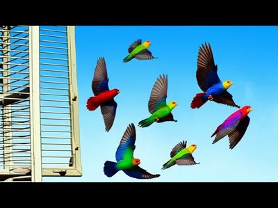 Illustration gratis - Image 1