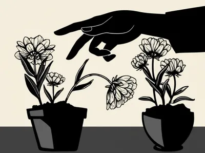 Illustration blame - Image 1