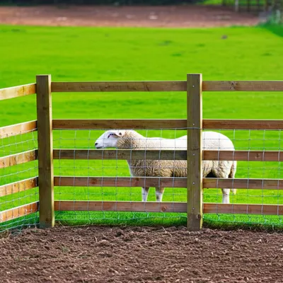 Illustration fenced - Image 1