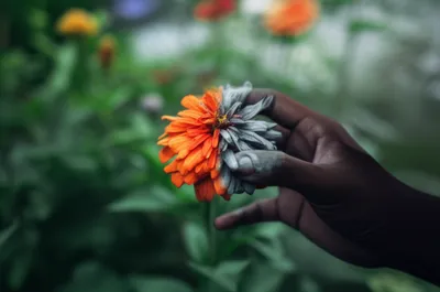 Illustration mortified - Image 1