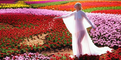 Illustration graces - Image 1