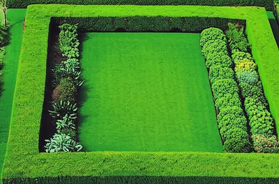 Illustration hedging - Image 1