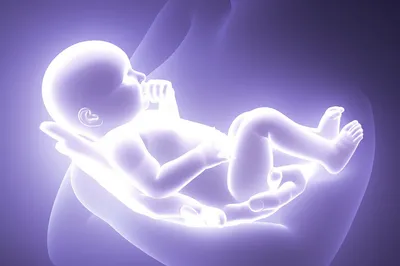 Illustration incarnated