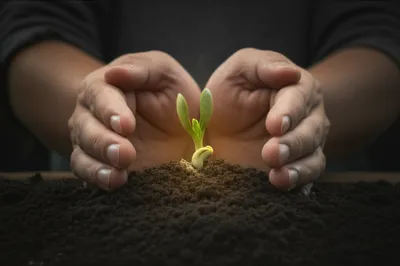 Illustration affection