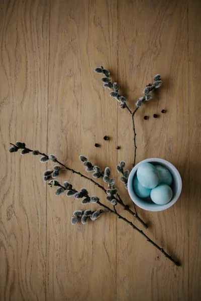 Illustration catkins - Image 2