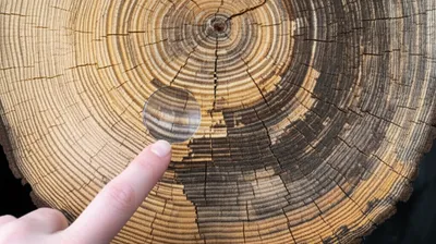 Illustration staged - Image 1