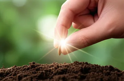 Illustration extends - Image 1