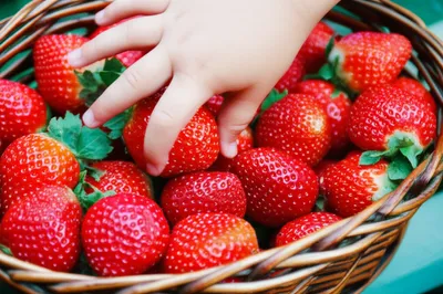 Illustration pickings - Image 1