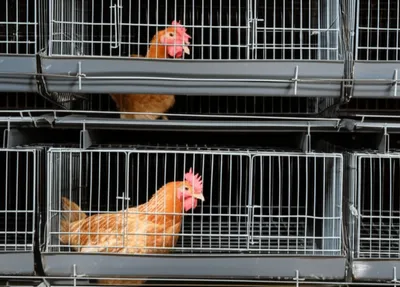 Illustration battery - Image 1