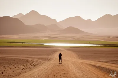 Illustration thar - Image 1