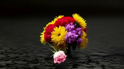 Illustration descent - Image 1