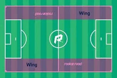 Illustration wing - Image 2