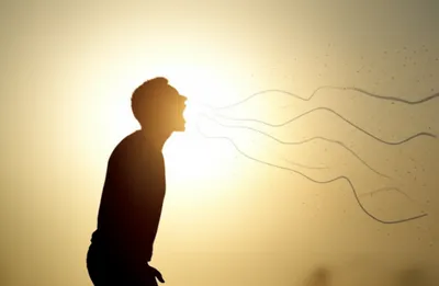 Illustration roaring - Image 1