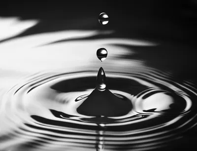 Illustration purifying - Image 1