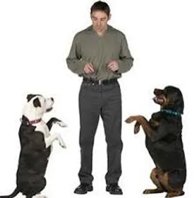 Illustration comply - Image 2