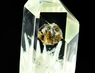 Illustration immured - Image 1