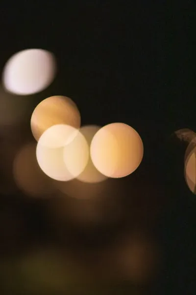 Illustration disseminated - Image 2