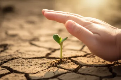 Illustration encouraged