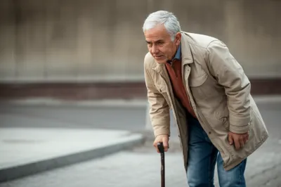 Illustration halters - Image 1