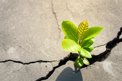 Illustration vigour - Image 1