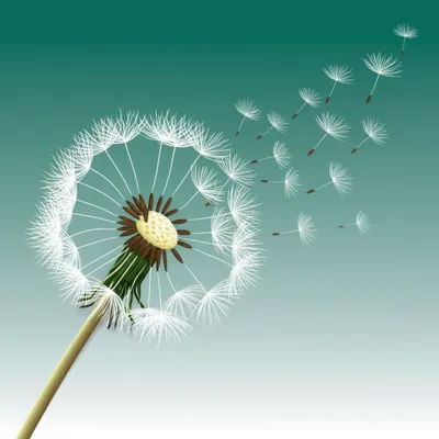 Illustration flexible - Image 1